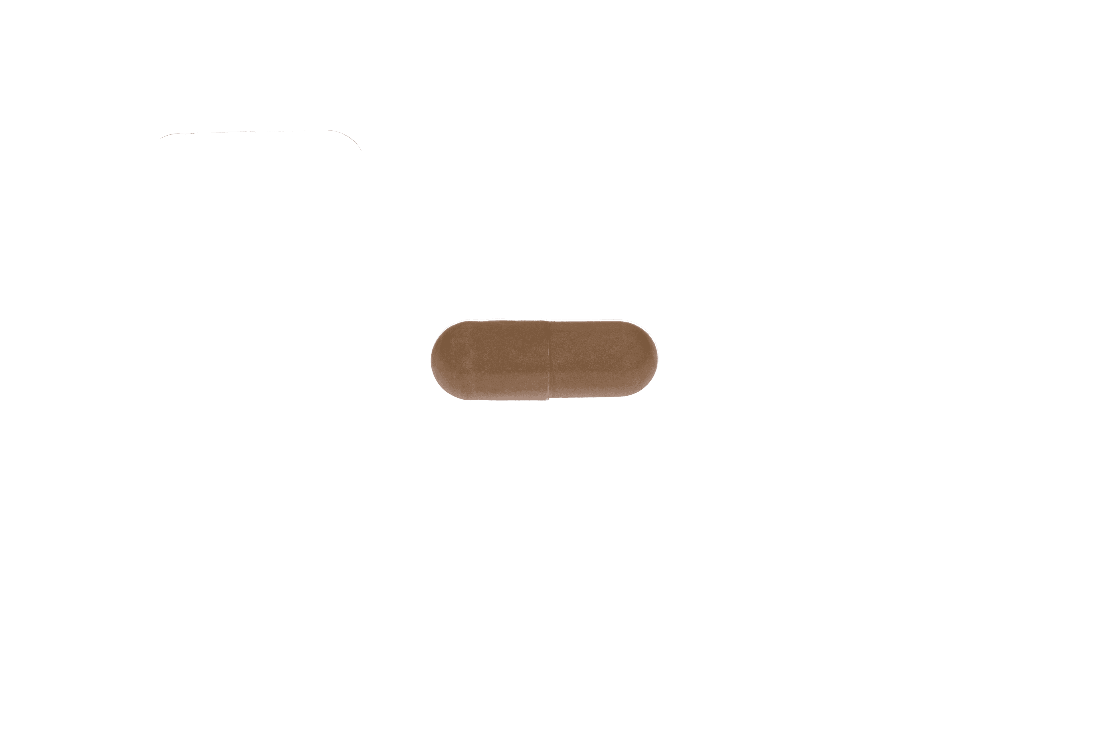 Ginkgo Biloba